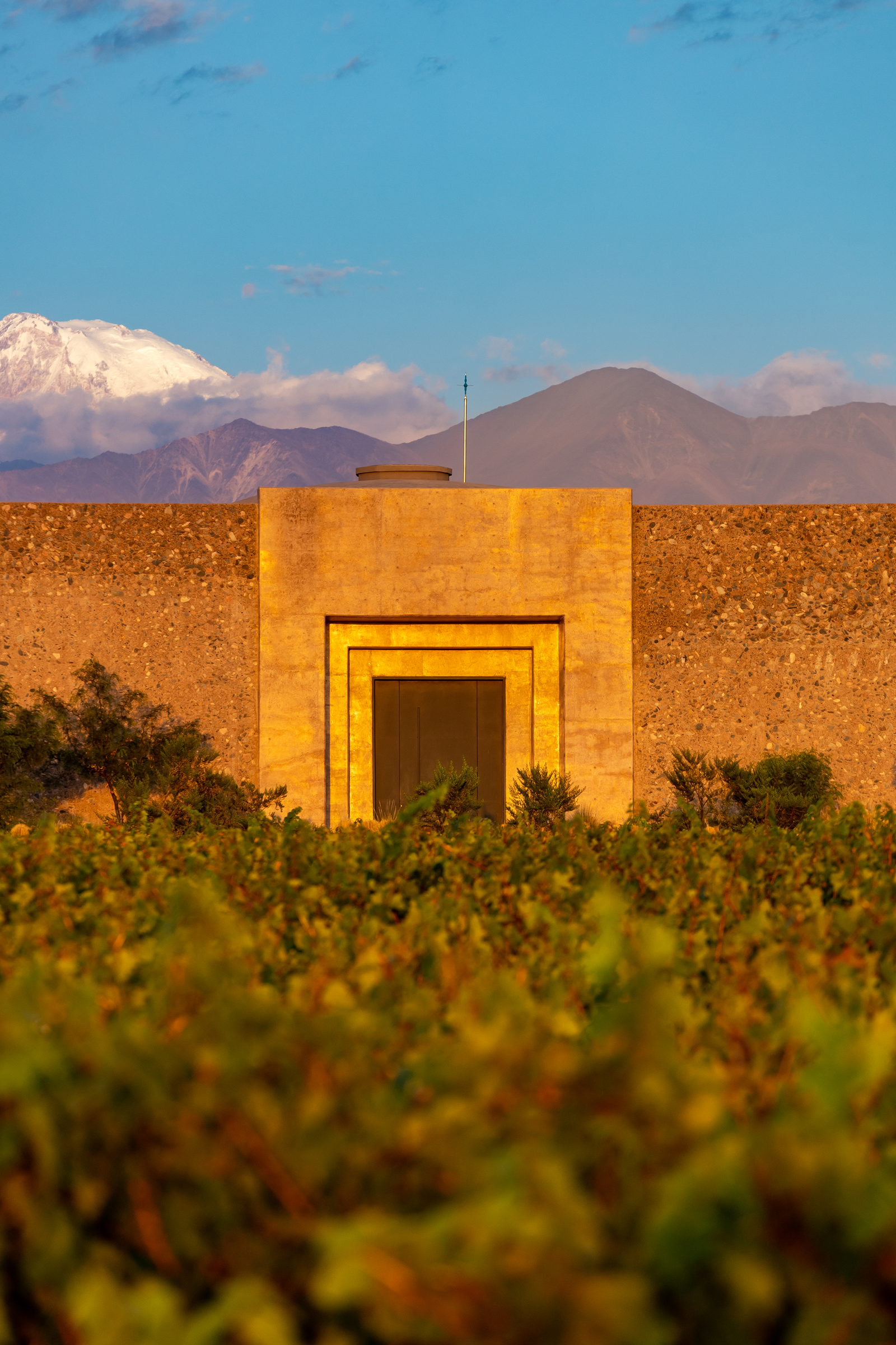 Acceso a la bodega Bemberg entre los viñedos