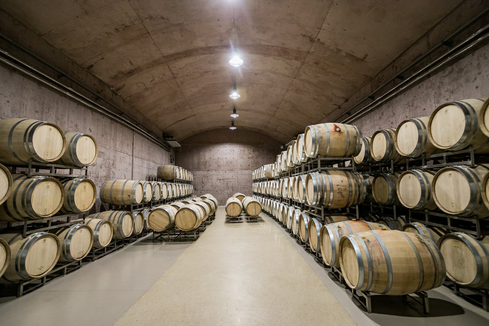 Sala de barricas de roble francés en la bodega